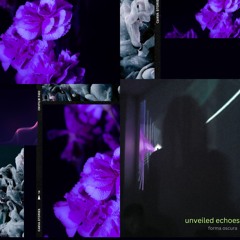 unveiled echoes 001 w/ forma oscura (22.05.24)