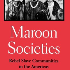 ⚡pdf✔ Maroon Societies: Rebel Slave Communities in the Americas