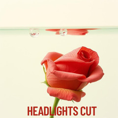 Headlights Cut