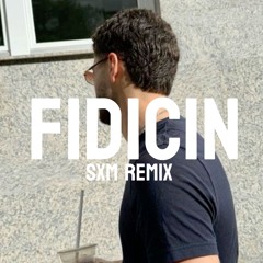 FIDICIN - pashanim remix (prod by. samrezaei)