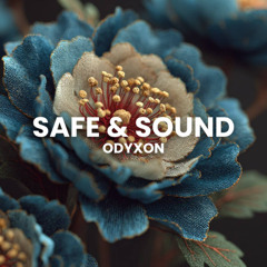 Safe & Sound
