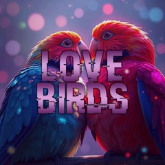 Cupid - Love Birds