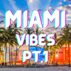 MIAMI VIBES PT1 - DJ ANTHONY LMP (2025)