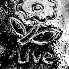 timeKeeper ⩇⩇:⩇⩇ (Electric Guitar + TC Electronic Flashback 2 + Pro-53, Recorded March 2024)