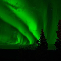 Mesmerized by the Aurora Borealis