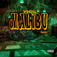 MALIBU (feat. Tawanda)