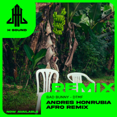 Bad Bunny - DtMF (Andrés Honrubia Afro Remix) DEMO