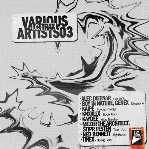 I.C. TRAX VARIOUS ARTISTS 03 (PREVIEW)