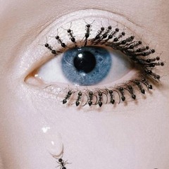 manoeuvres in velocity