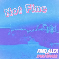 Not Fine