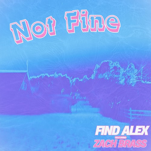 Not Fine