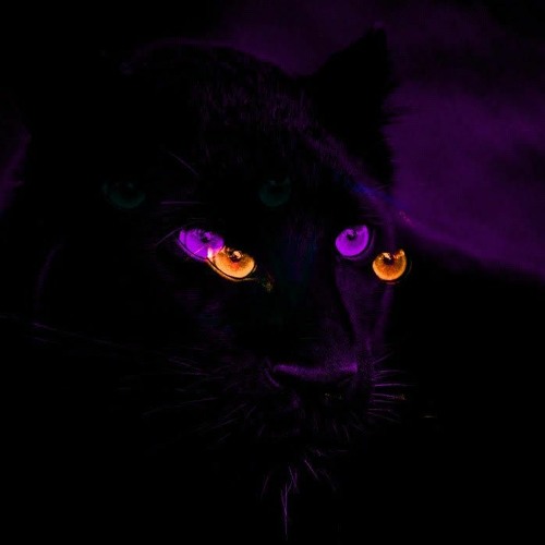 PANTERA