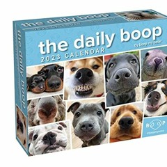 DOWNLOAD PDF 📝 The Daily Boop 2023 Day-to-Day Calendar: By Boop My Nose by  noseboop