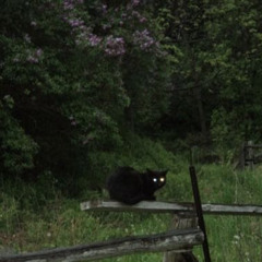 school rooftop intro