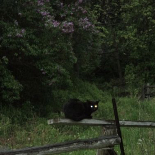 school rooftop intro