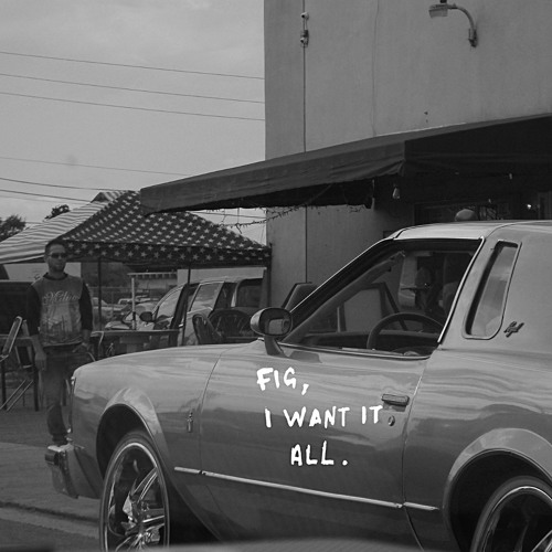 fig, i want it all.