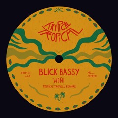 FREE DL : Blick Bassy - Woni (Tripical Tropical Rework)