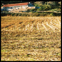 Parautas - Sab4