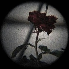 broken heart (Prod. luffysome x sorrow bringer)