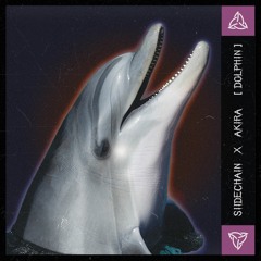Siidechain & Akira - Dolphin