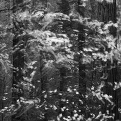 I can't v2 w/Ayh Okay