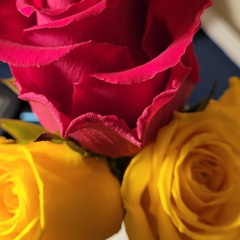 Don't hurry my love.m4a