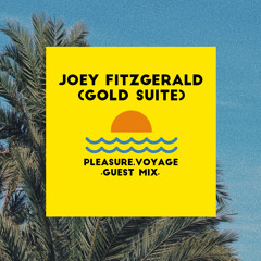 PLEASURE VOYAGE ≈ GUEST MIX 15 ≈ Joey Fitzgerald (Gold Suite)