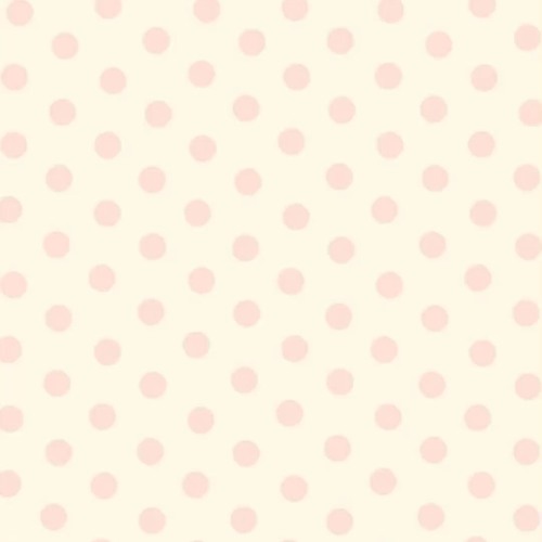 상견니 상견니 상견니 // 플레이브 •• ❤︎