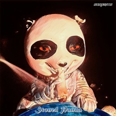 Sorbeats- Stoned Panda
