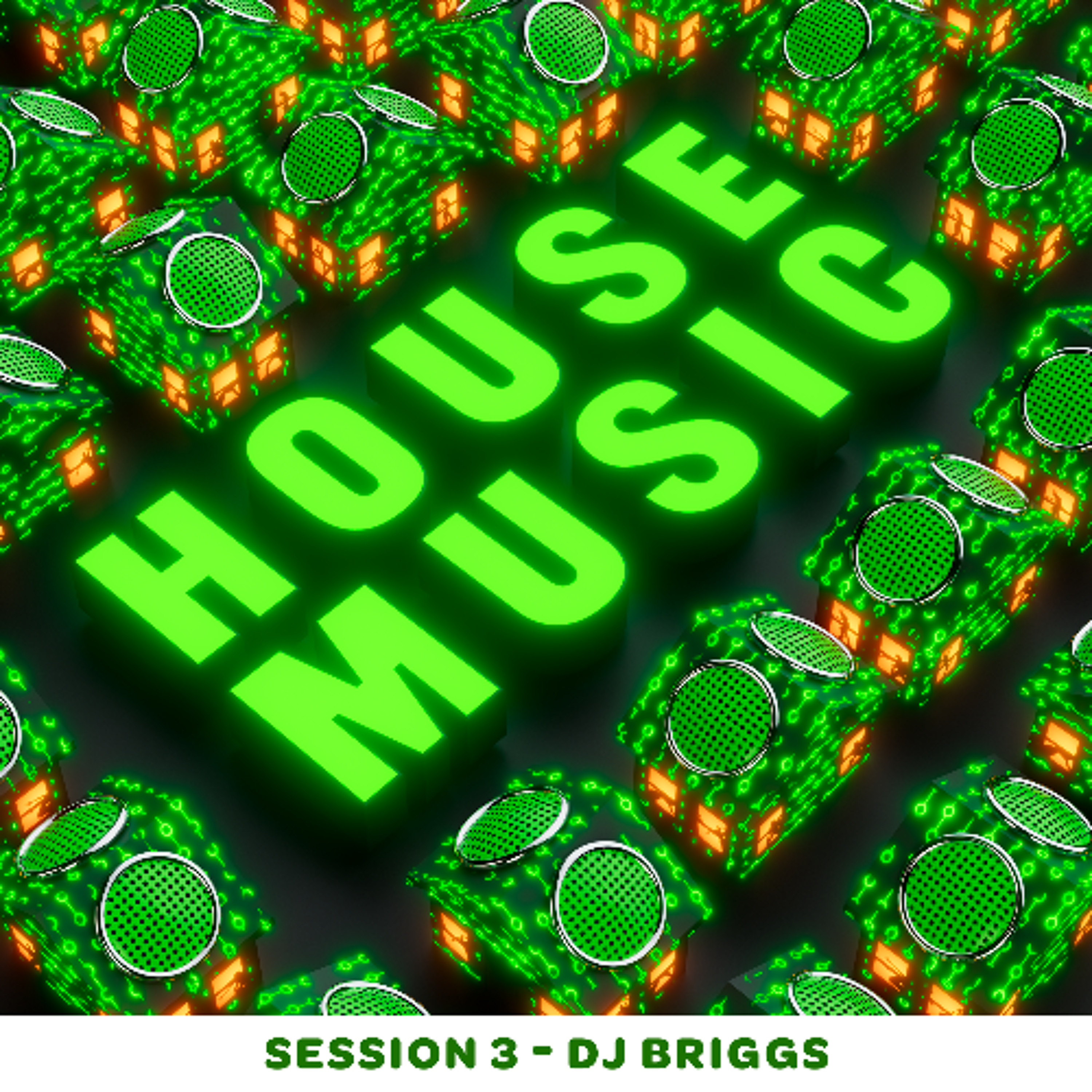 House Music Session 3 - Dj Briggs episode artwork