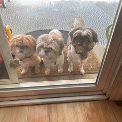 Nothing Can Separate