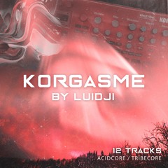 KORGASME (Live Korg E2 . TT 303)