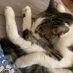 HARDTEKK OCTAVIAN RARI.mp3