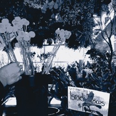 MachineFreak - Night & Day (FREE DL)