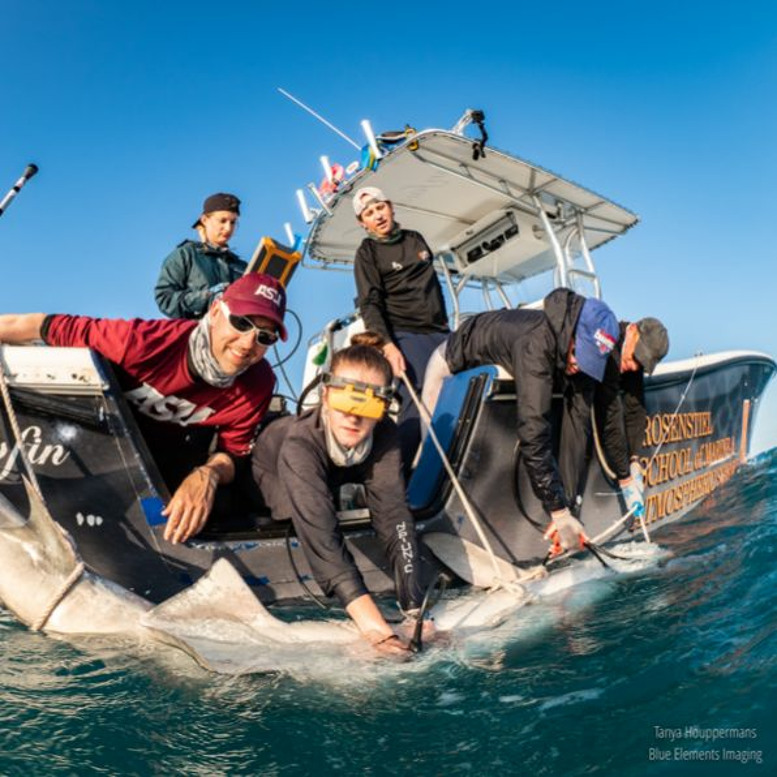 Dr James Sulikowski on Breaking it Down with Frank MacKay - Dr. Shark