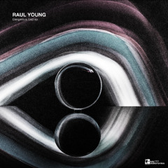 Raul Young - Dangerous Gap (Original Mix)