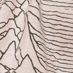 float 𓁹 contact temple, victoria, british columbia, 5/3/2o24