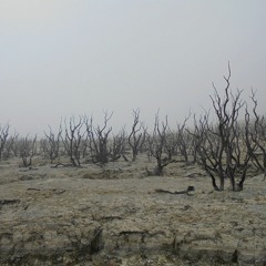 Gotta Get Them When They're Hot