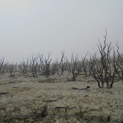 Gotta Get Them When They're Hot