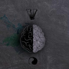 Visual cortex- Pkss yea