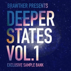 Deeper States Vol.1 [Sample Library] Demo Track