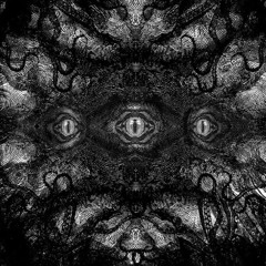 Echoes Of Collapse - Analog Live Extract