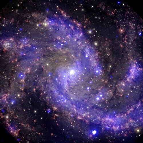 When It's Gone, It's Gone (DJ SinyStaH's Future Trap Bootleg)