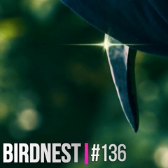 BIRDNEST #136