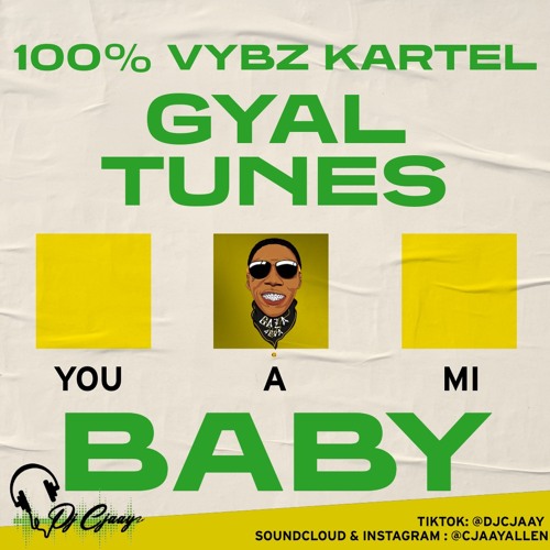 100% Vybz Kartel Gyal Tunes @DjCjaay