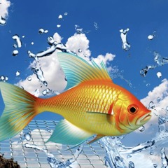 Tripple Billz - High above ( prod. Shango)