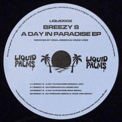 A Day In Paradise (Original Mix)