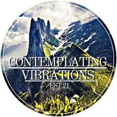 Contemplating Vibrations [#15] Paranoid SouL