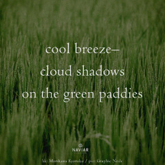 Cloud Shadows (naviarhaiku572)