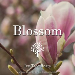 ( FREE ) Blossom - Pink Pantheress - Nia Archives - Jungle Type Beat